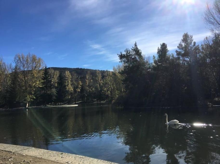 Ideal Parejas - Tranquilidad Y Naturaleza - Vistas Al Lago Osseja Bagian luar foto